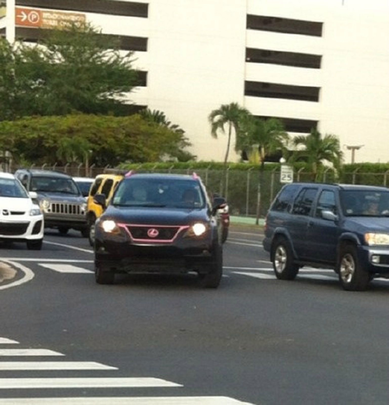 Illustration for article titled Pink Attack: Lexus RX